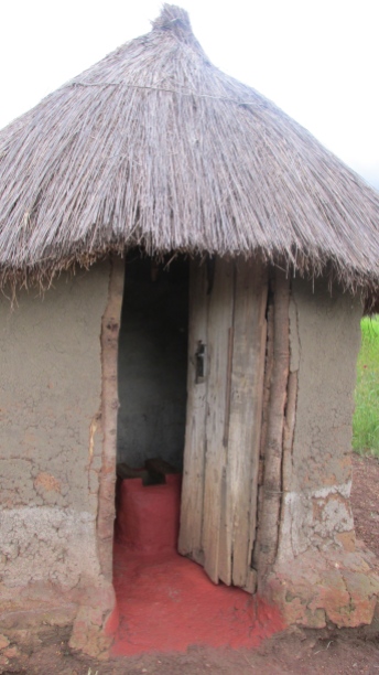 Photo of hut with toilet