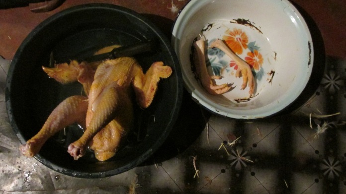 Photo of plucked chicken and feet in a bowl