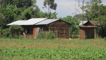 Photo of mud home in field.